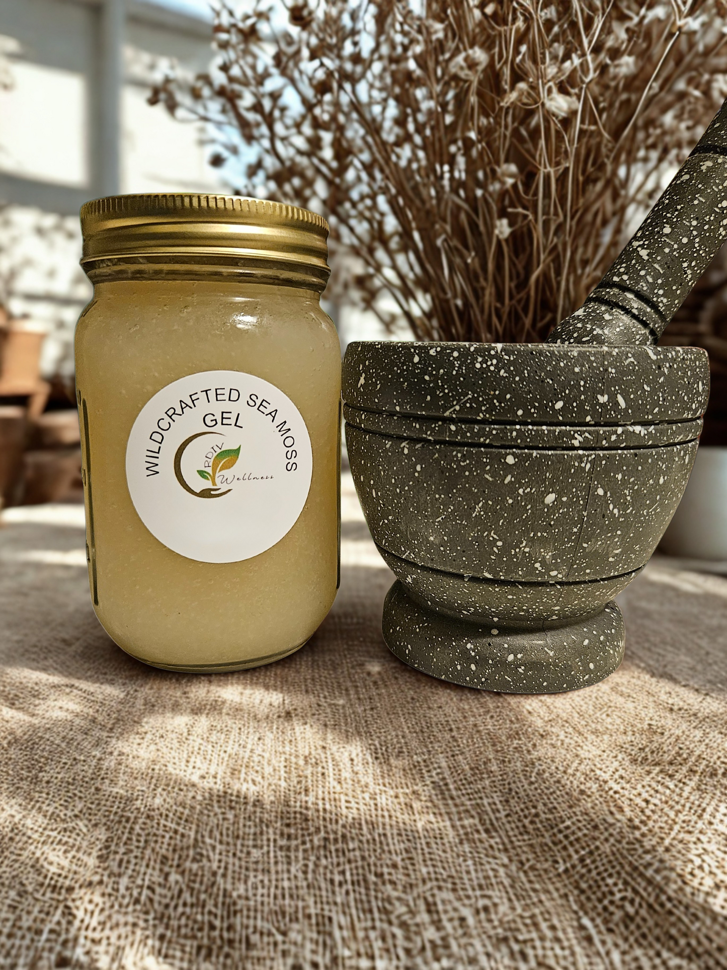 Wildcrafted Sea Moss Gel – Natural Superfood for Daily Wellness