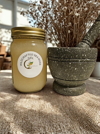 Wildcrafted Sea Moss Gel – Natural Superfood for Daily Wellness